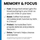 NeuroQ Memory Focus benefits