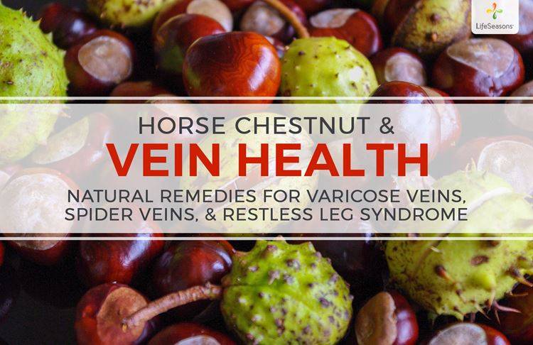 Vein Health: Natural Remedies to Help Varicose Veins, Spider Veins, & Restless Leg Syndrome