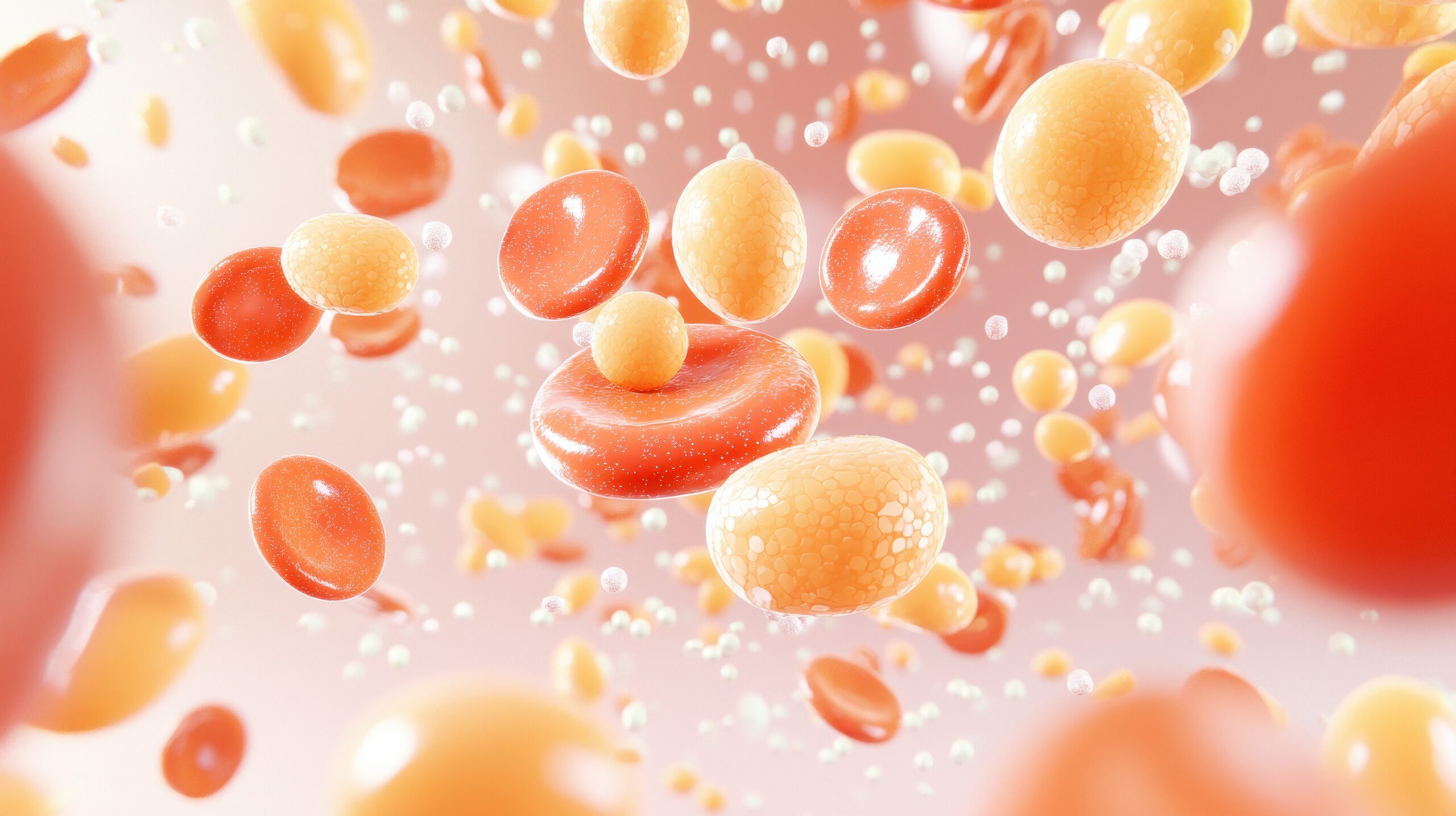 Cholesterol and Particle Size: What You Need to Know